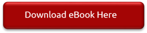 Download Budgeting Process eBook