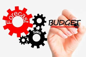 Business budget analysis