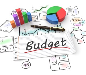 financial budgeting process